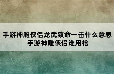 手游神雕侠侣龙武致命一击什么意思 手游神雕侠侣谁用枪